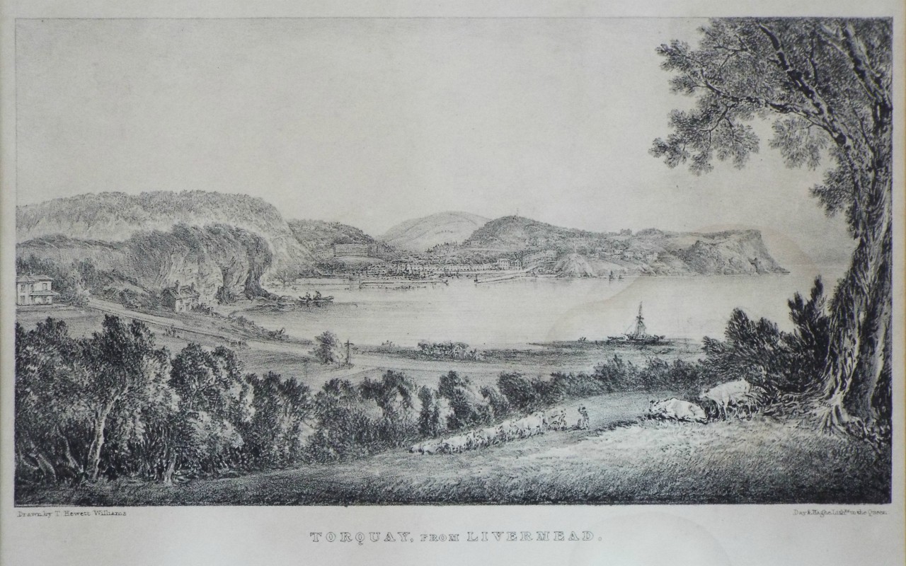 Lithograph - Torquay, from Livermead.